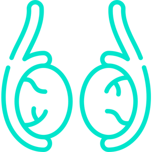 Varicocele